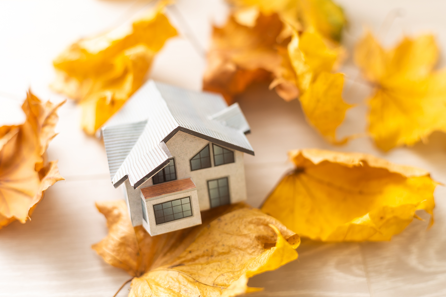 preparar el hogar para el otoño